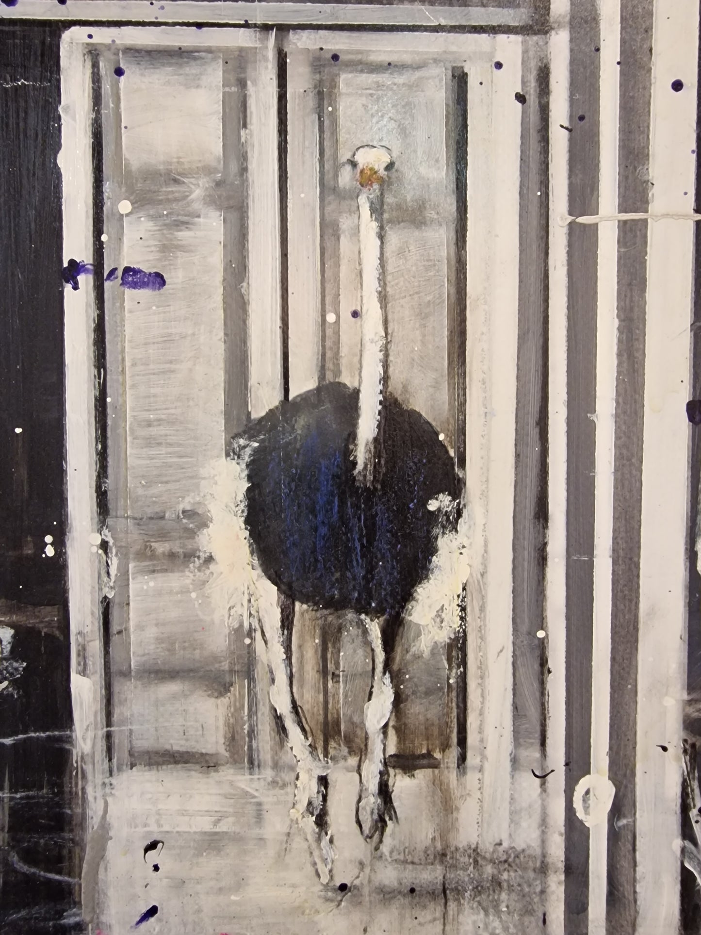 Angelo Accardi, Misplaced
