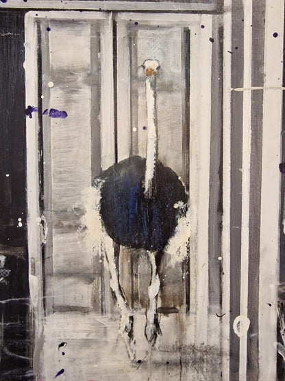 Angelo Accardi, Misplaced